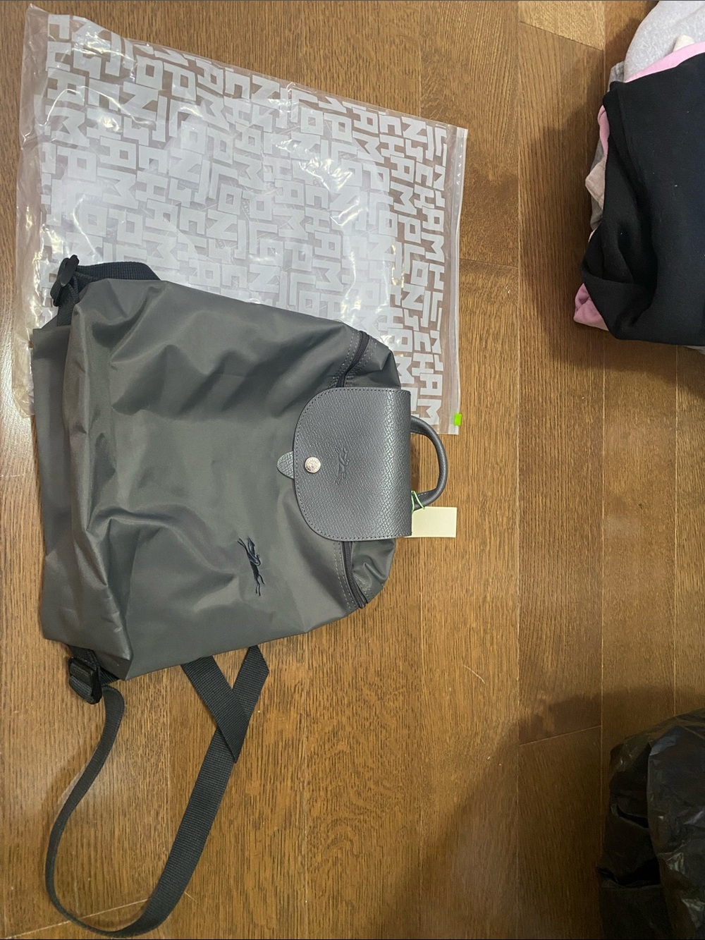 Gray Women’s Backpack with Top Flap - Longchamp Style